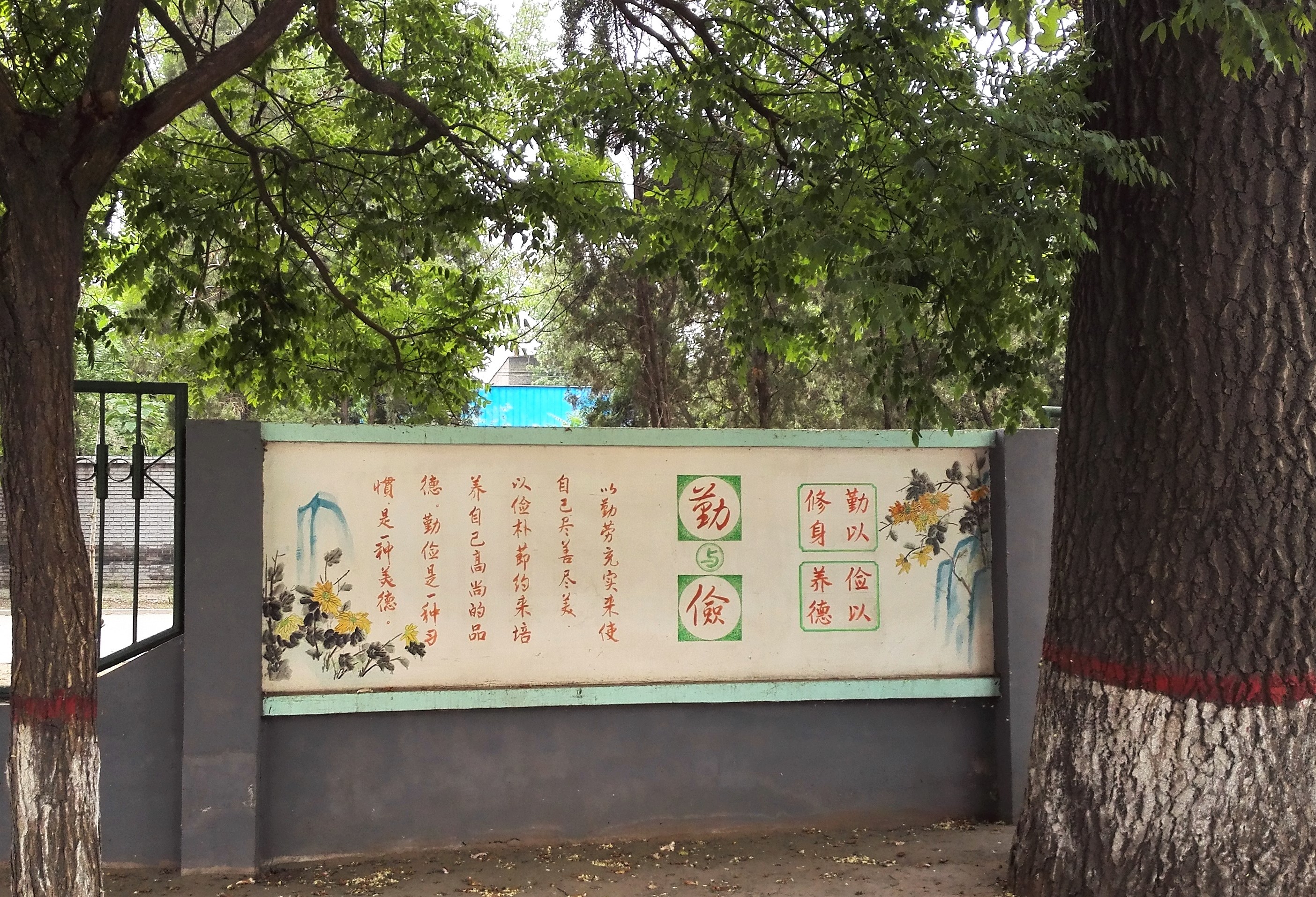 13.校園文化，根深葉茂.jpg